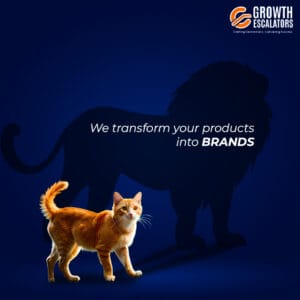 we transform your product